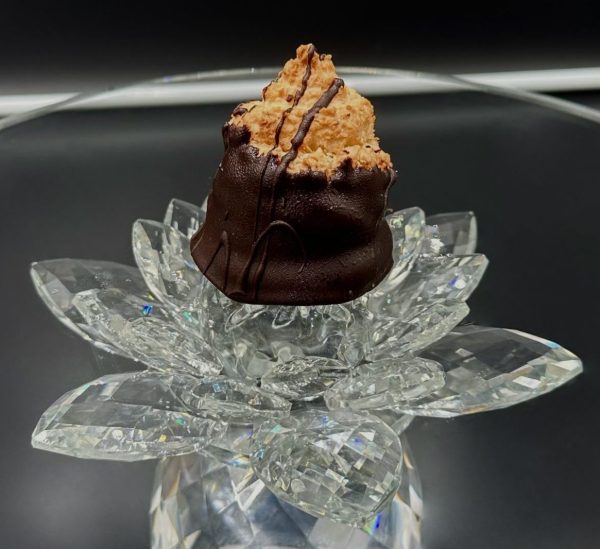 Chocolate Coconut Macaroon