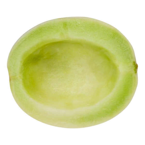 Melon - Honeydew - Image 2