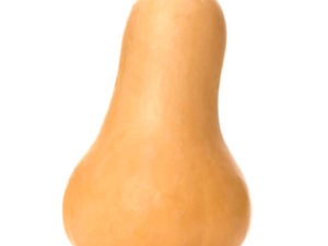 Squash - Butternut - Ontario