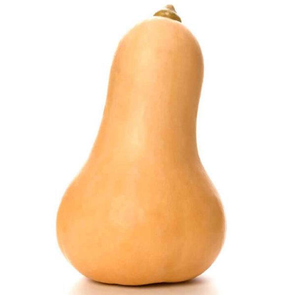 Squash - Butternut - Ontario