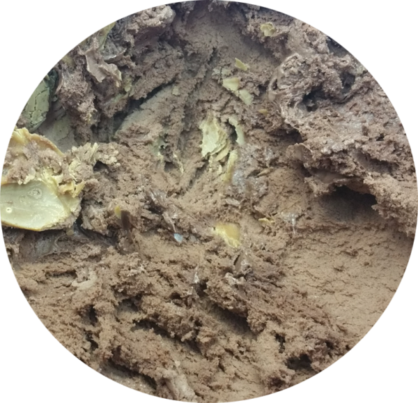 Shaw's Ice Cream - Image 5