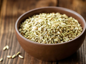 Fennel Seed - Red Club