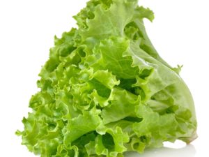 Lettuce - Green Leaf