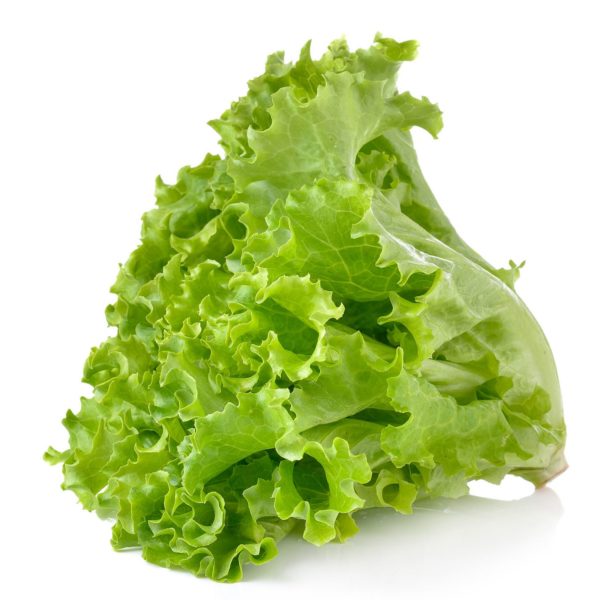 Lettuce - Green Leaf