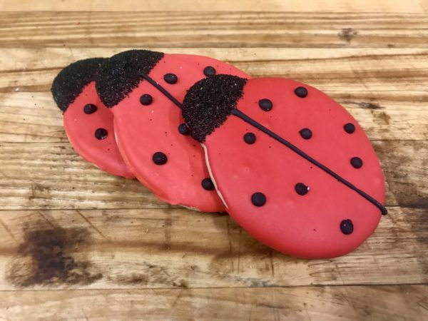 Cookie - Kid's Sugar Cookie - Image 12