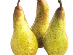 Pears - Italian Abate
