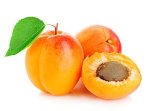 Apricot