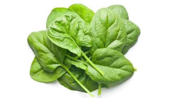 Baby Spinach