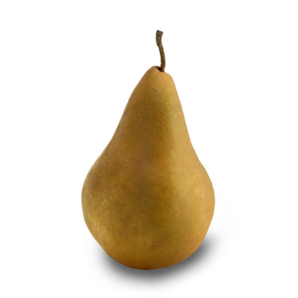 Pear - Bosc