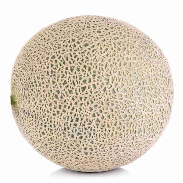 Melon - Cantaloupe