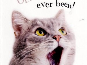 Birthday Card - Cat