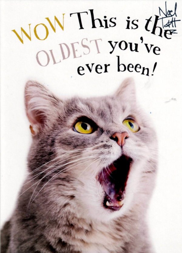 Birthday Card - Cat