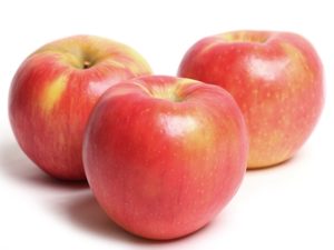 Apple - Honeycrisp