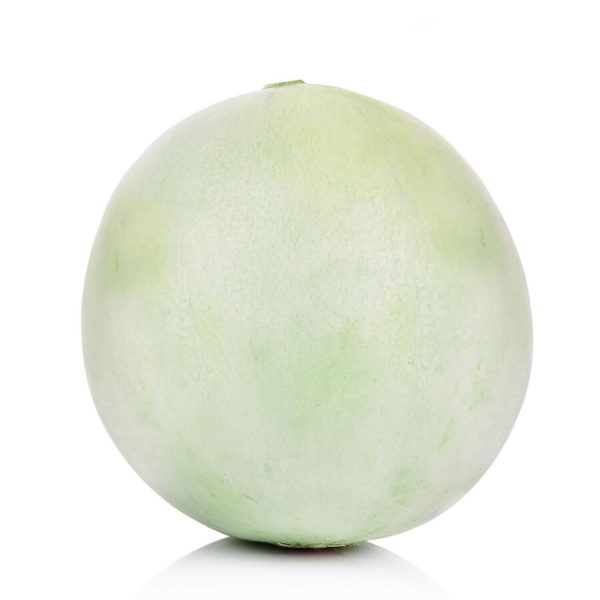 Melon - Honeydew