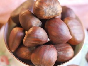 Italian Chestnuts