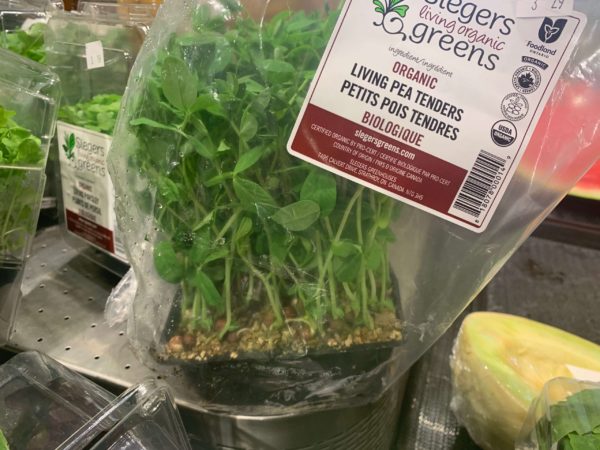 Pea Tenders - Slegers Greens