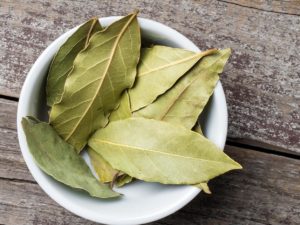 Bay Leaves - Red Club