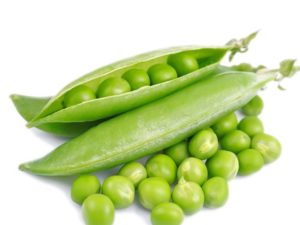 Peas - English