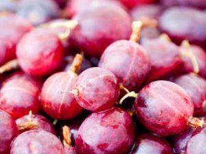 Gooseberries - Red