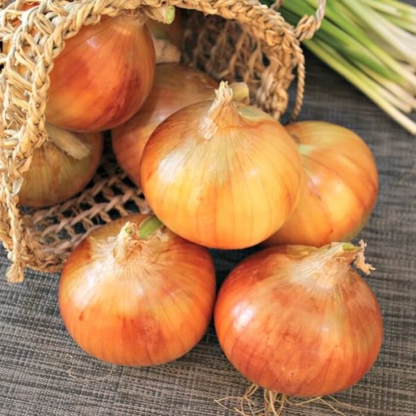 Onions - Cooking 2LB - Local